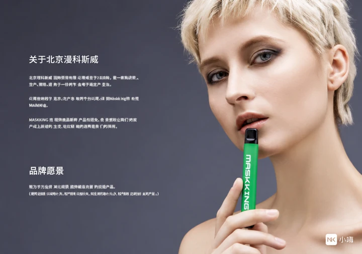 漫科斯威小嗨产品手册 · 第2张